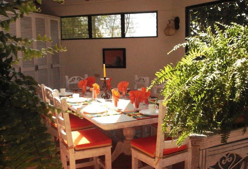 Общежитие Miravalle Suites