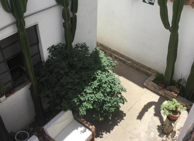 هاستل Posada Junco Y Capuli