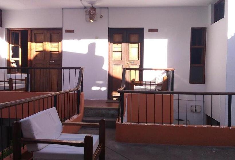 هاستل Posada Junco Y Capuli