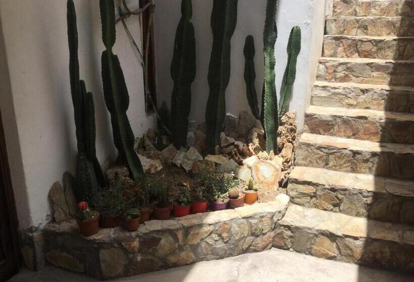 هاستل Posada Junco Y Capuli