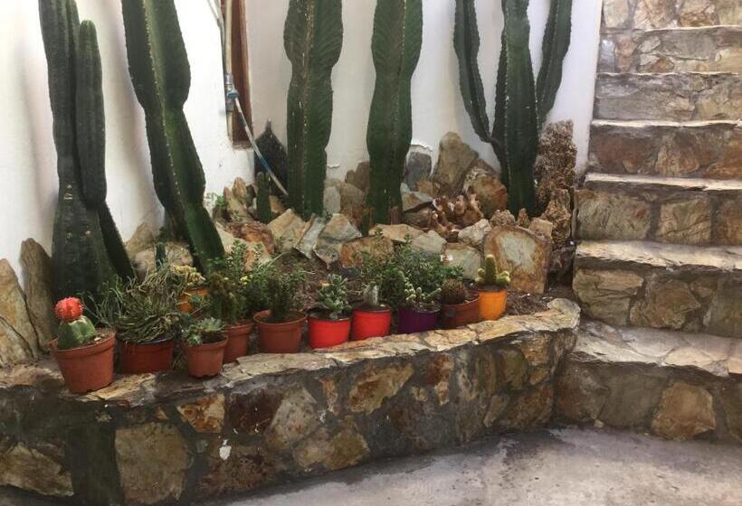 هاستل Posada Junco Y Capuli