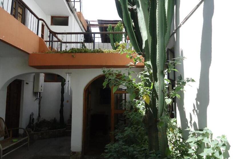 هاستل Posada Junco Y Capuli