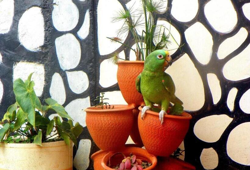 Общежитие Posada Martha Tolima