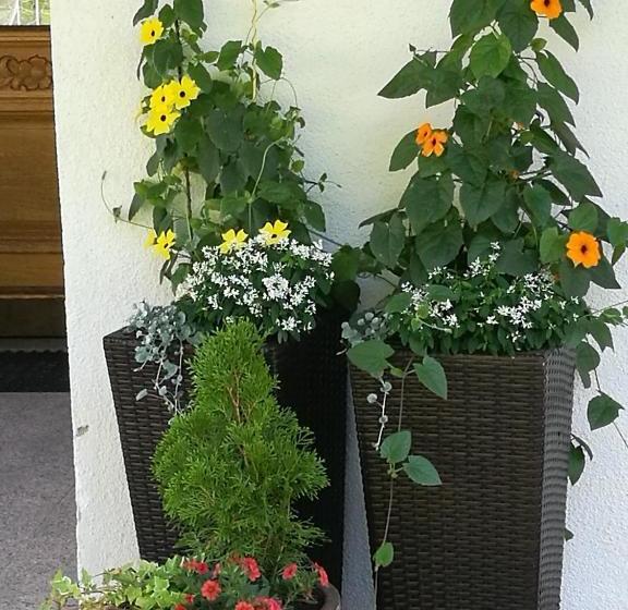 Gästepension Wiesenheim