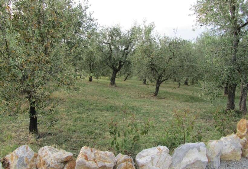 בית מלון כפרי Agriturismo Borghetto Il Montino
