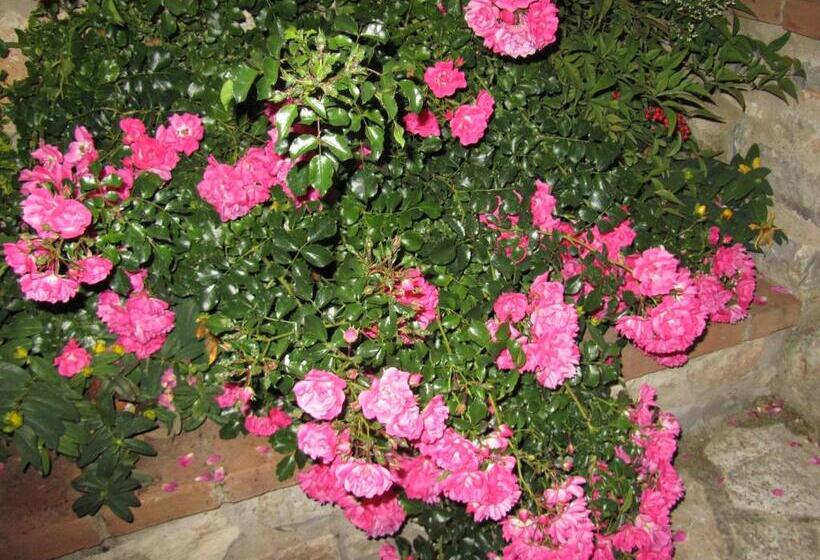 בית מלון כפרי Agriturismo Borghetto Il Montino