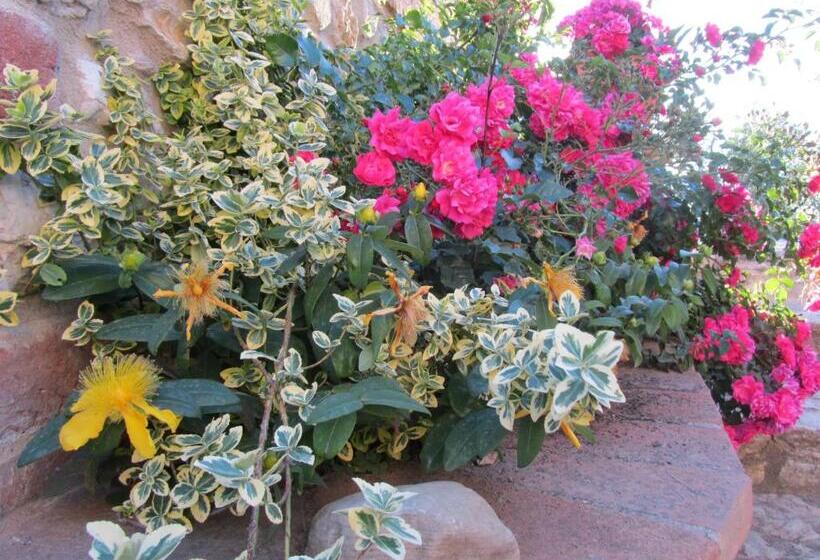 בית מלון כפרי Agriturismo Borghetto Il Montino