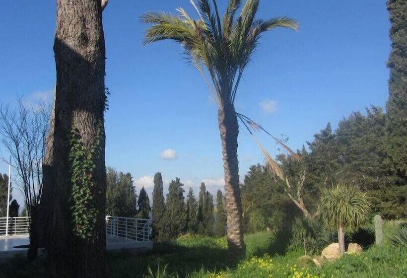 בית מלון כפרי Campo Allegro