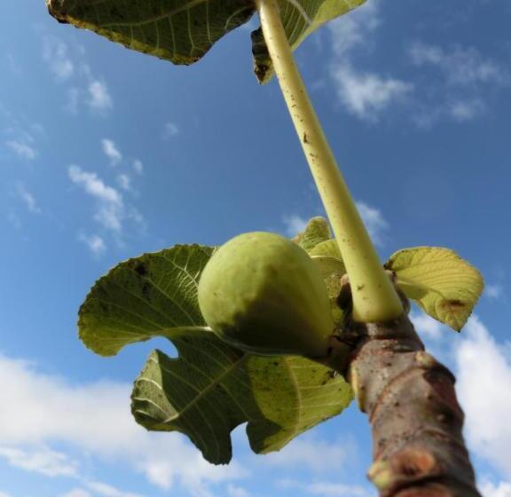 酒店 Agriturismo Cuca