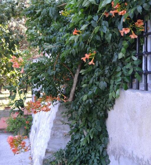 ホテル Agriturismo La Querce