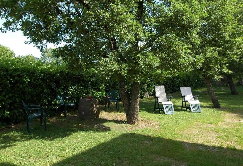 בית מלון כפרי Agriturismo San Vincenzo