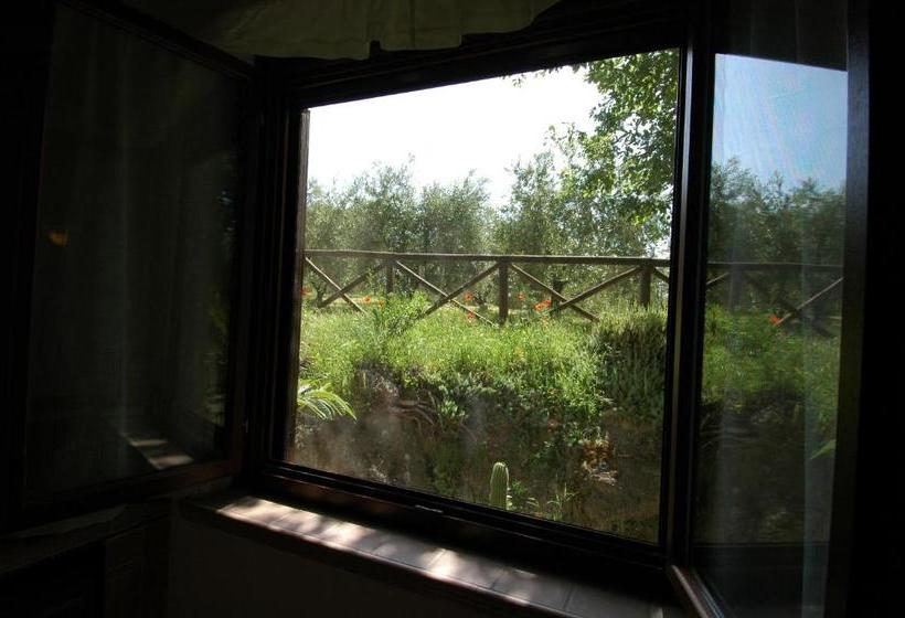 בית מלון כפרי Agriturismo San Vincenzo