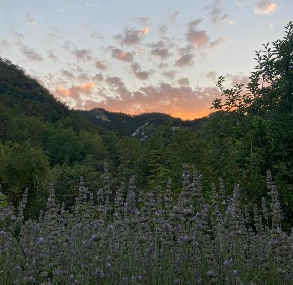 בית מלון כפרי Chiesa Ignano 1778