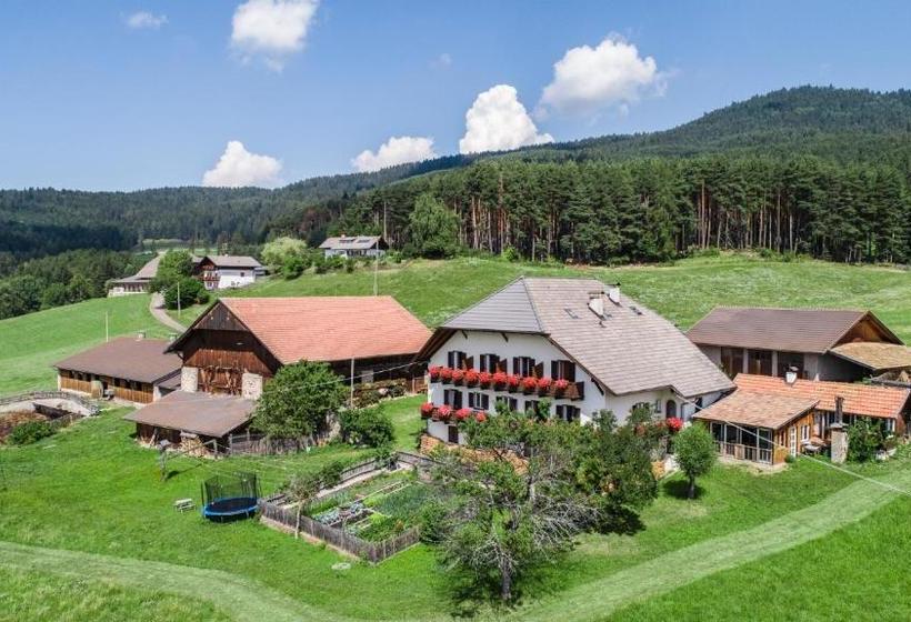 בית מלון כפרי Schartnerhof