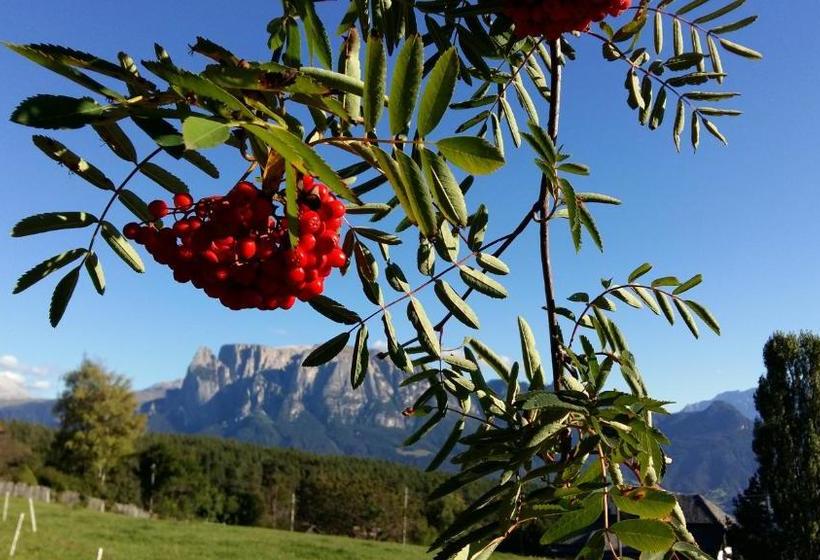 בית מלון כפרי Schartnerhof