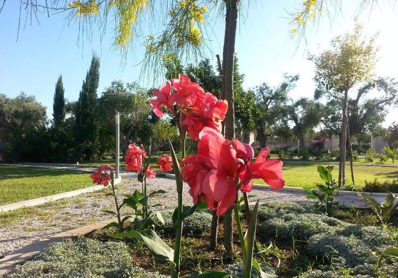 בית מלון כפרי Willaria Country House