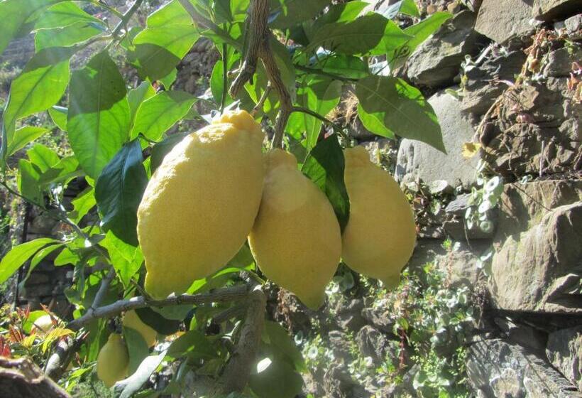 פנסיון Affittacamere Da Paulin