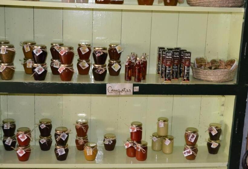 펜션 Aguarela Tavira