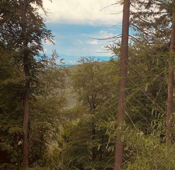 Пансион Altstadt Residenz Manz