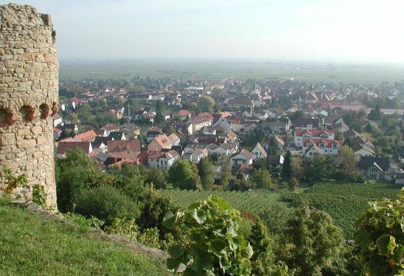 Пансион Altstadt Residenz Manz