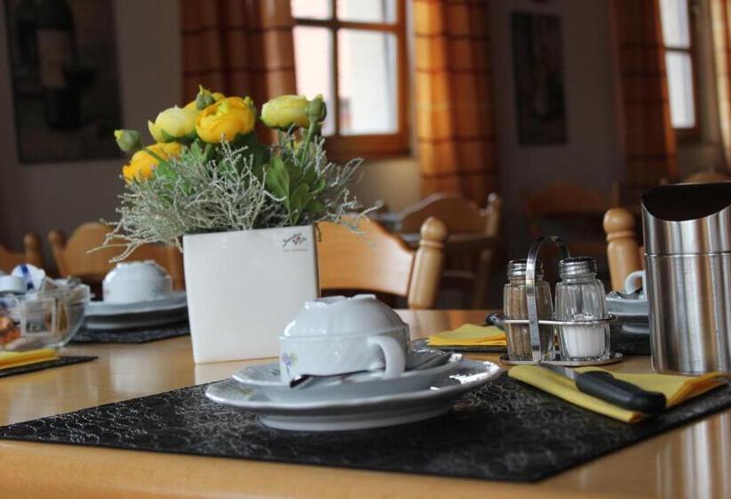 Пансион Altstadt Residenz Manz