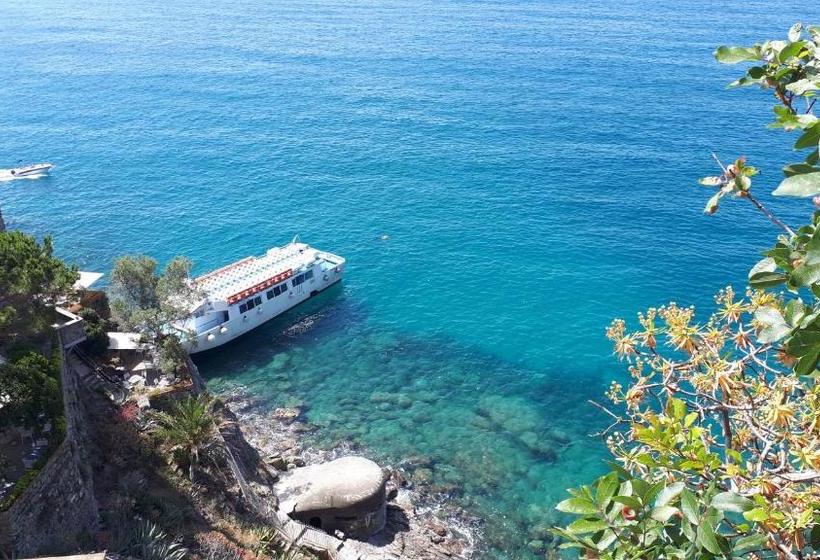 پانسیون Bellambra