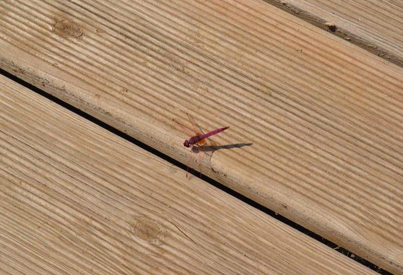 펜션 Casa De Campo Vale Do Asno