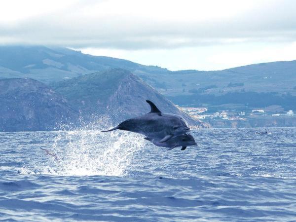 膳宿费 Casa De Hospedes Isaias