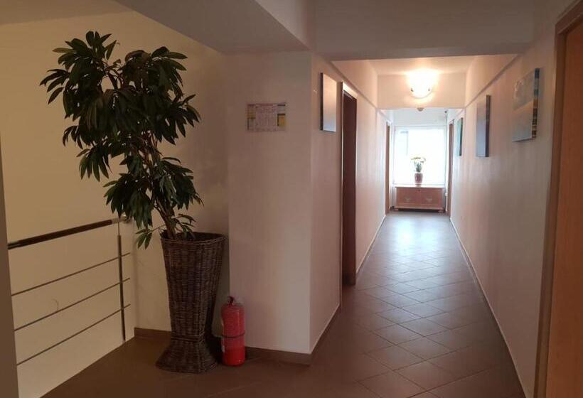 펜션 Ametist Casa Leului