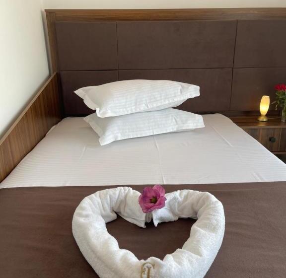 펜션 Ametist Casa Leului