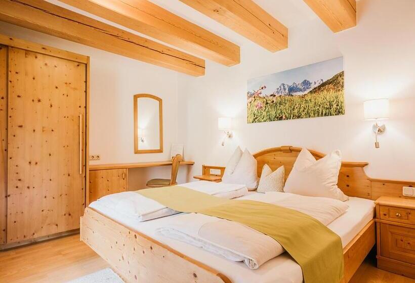 پانسیون Hoferhof Ski In & Ski Out Hotel Schladming  Dachstein