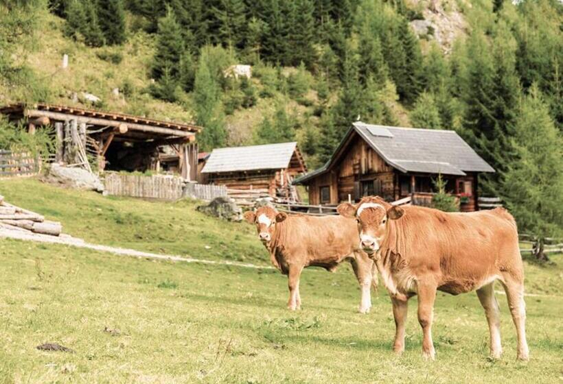 پانسیون Hoferhof Ski In & Ski Out Hotel Schladming  Dachstein