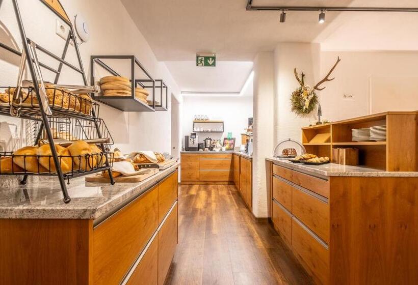 پانسیون Hoferhof Ski In & Ski Out Hotel Schladming  Dachstein