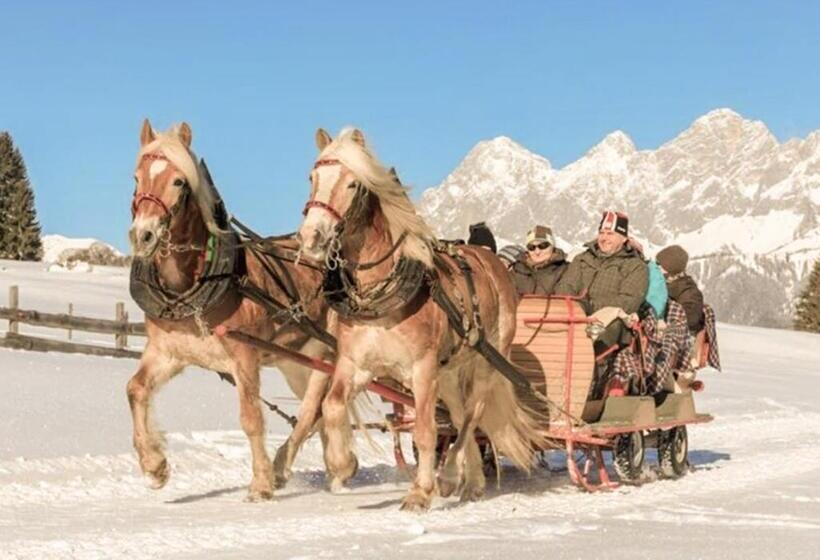 پانسیون Hoferhof Ski In & Ski Out Hotel Schladming  Dachstein