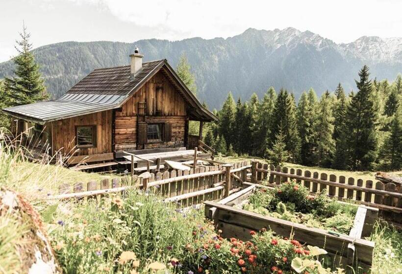 پانسیون Hoferhof Ski In & Ski Out Hotel Schladming  Dachstein