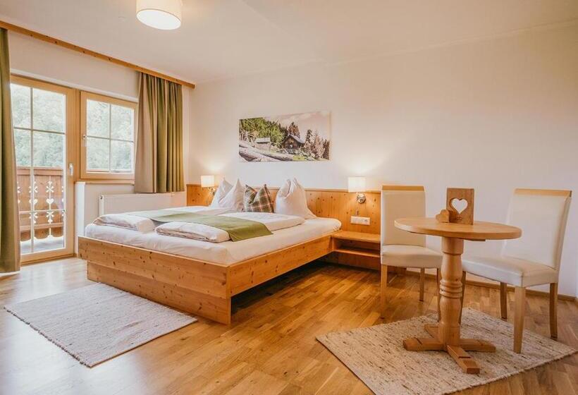 پانسیون Hoferhof Ski In & Ski Out Hotel Schladming  Dachstein