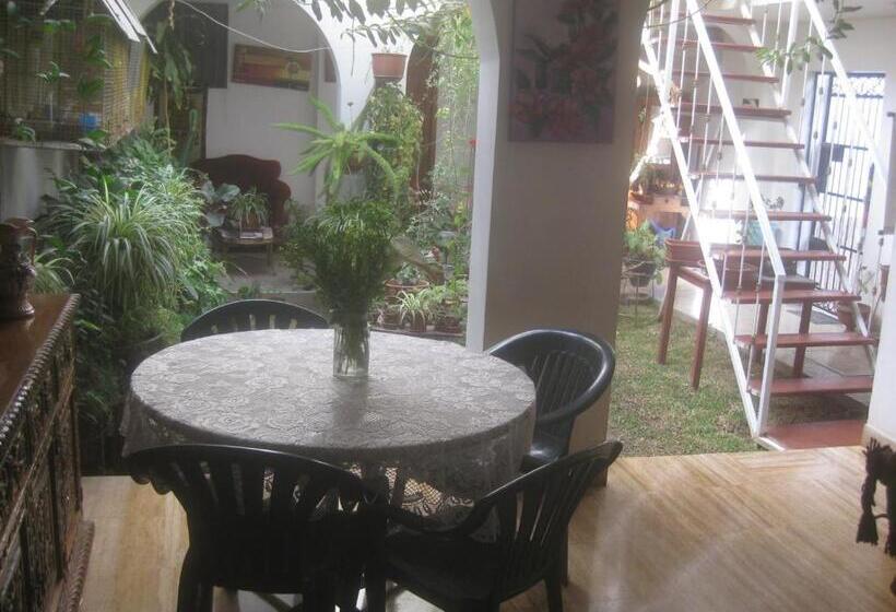 پانسیون Hostal Camiluz