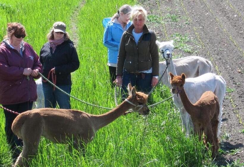 膳宿费 Kungshagagård