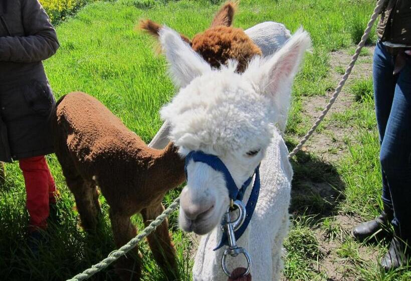 膳宿费 Kungshagagård