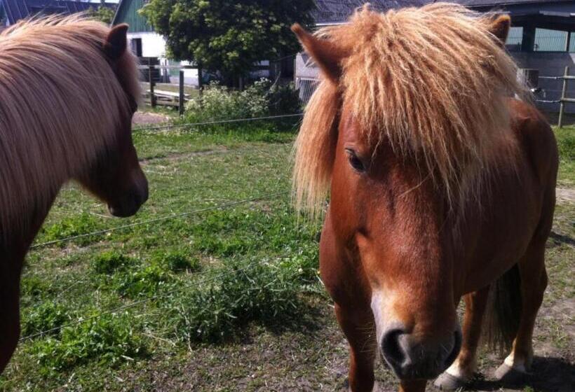 膳宿费 Kungshagagård