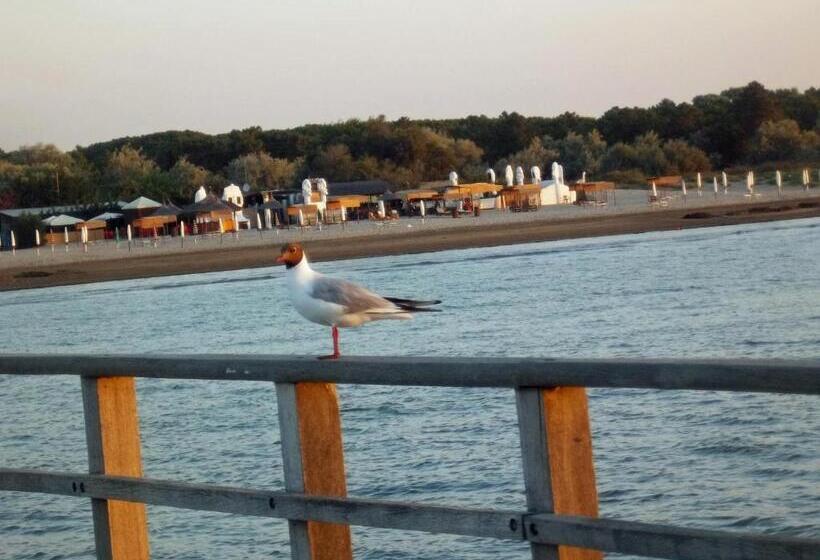 ペンション La Via Del Volano