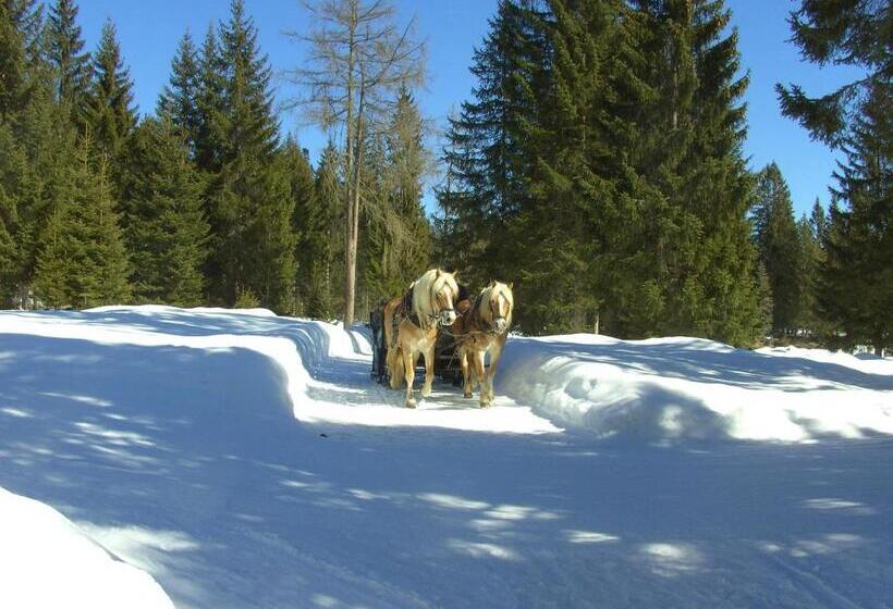 Пансион Landhaus Doris