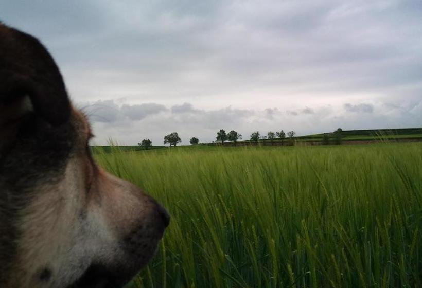 Pensionat Masía Cal Guim