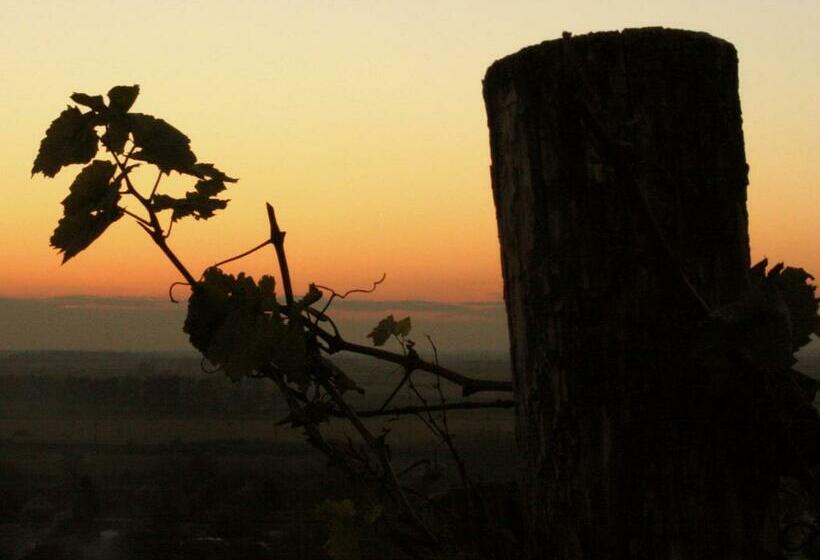 פנסיון Myrtus Pince és Vendégház