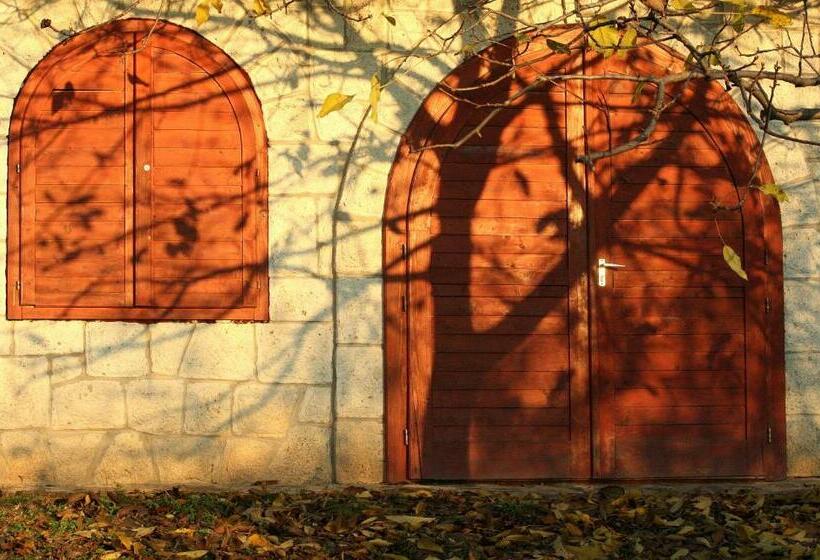 פנסיון Myrtus Pince és Vendégház