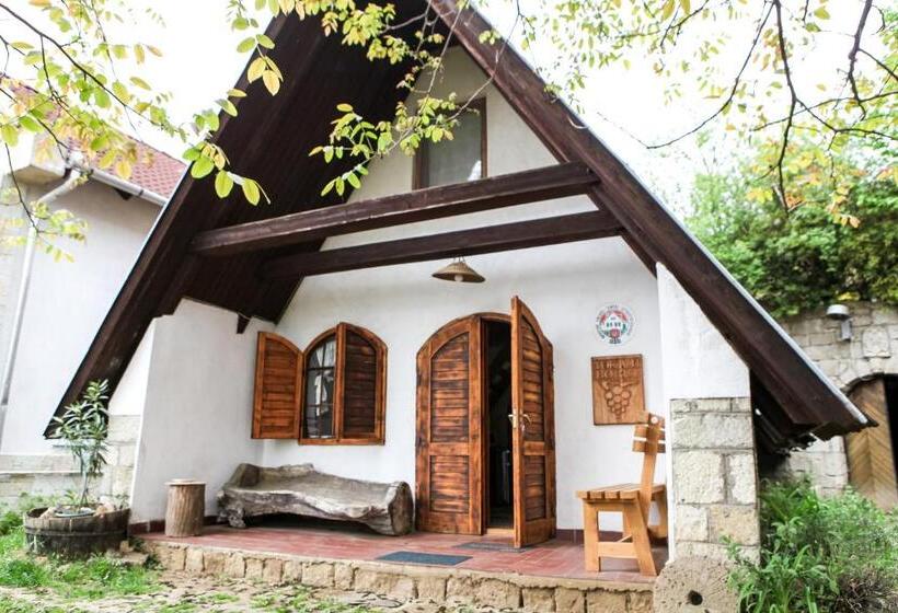 פנסיון Myrtus Pince és Vendégház