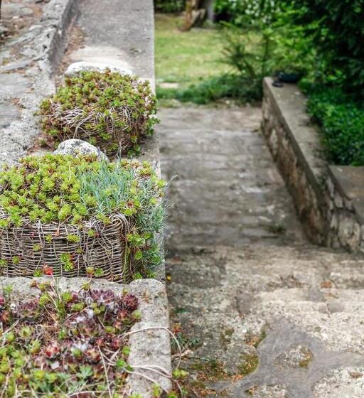 פנסיון Myrtus Pince és Vendégház