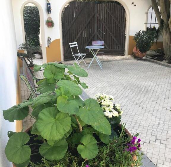 פנסיון O Pátio