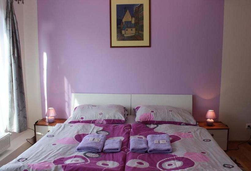 پانسیون Penzión Terra Banensium