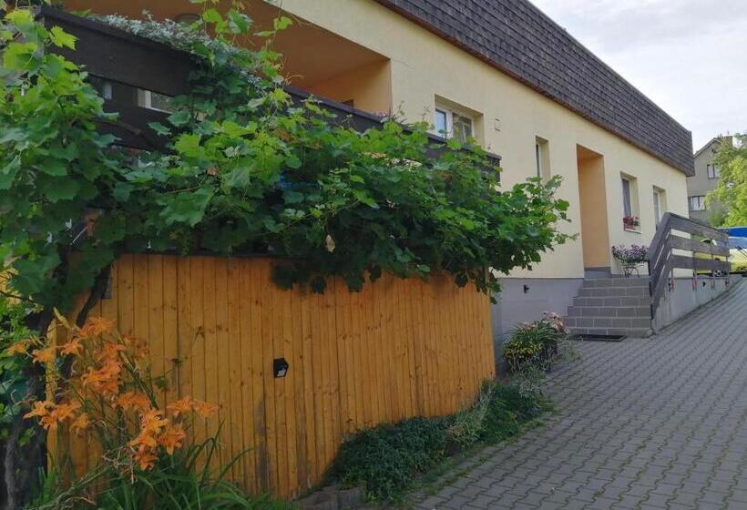 پانسیون Penzion Aida Ostrava